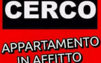 Cerco in affitto piccolo appartamento 