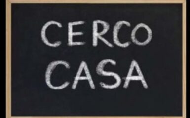 Cerco appartamento in affitto 