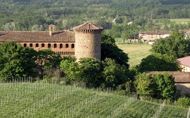 Visita in Cantina-Luretta-Castello di Momeliano