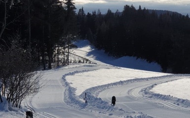 Escursionismo Parma - Ciaspolata in Val di Non