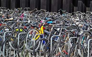 Cicloturisti a pranzo in compagnia 