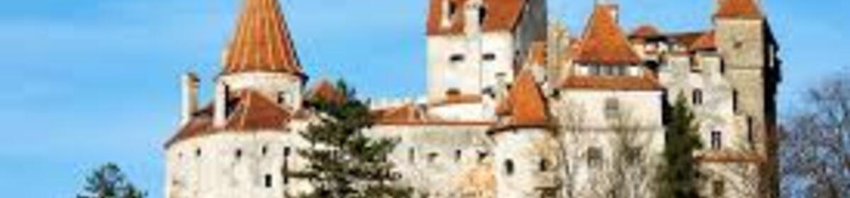 Banner transilvania