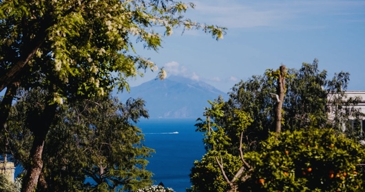 Napoli - Festa di Natale della Direzione Regionale Centro Sud Napoli - Festa di Natale della Direzione Regionale Centro Sud